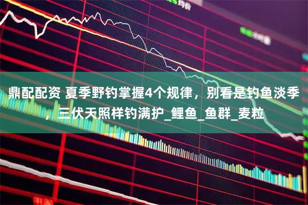 鼎配配资 夏季野钓掌握4个规律，别看是钓鱼淡季，三伏天照样钓满护_鲤鱼_鱼群_麦粒